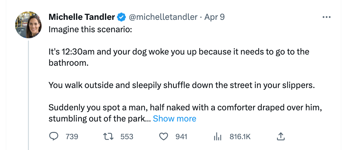 Michelle Tandler + "Ladylike Reformers"