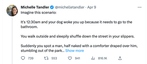 Michelle Tandler + "Ladylike Reformers"