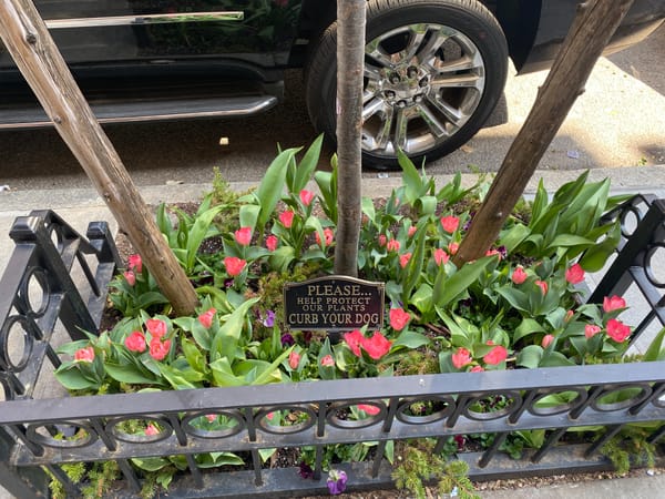 A Glorious Spring Day